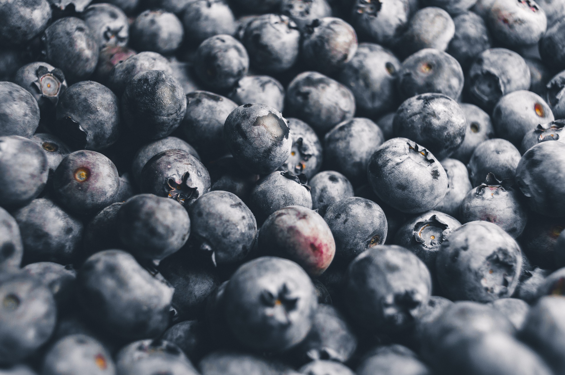 Blueberry Importers