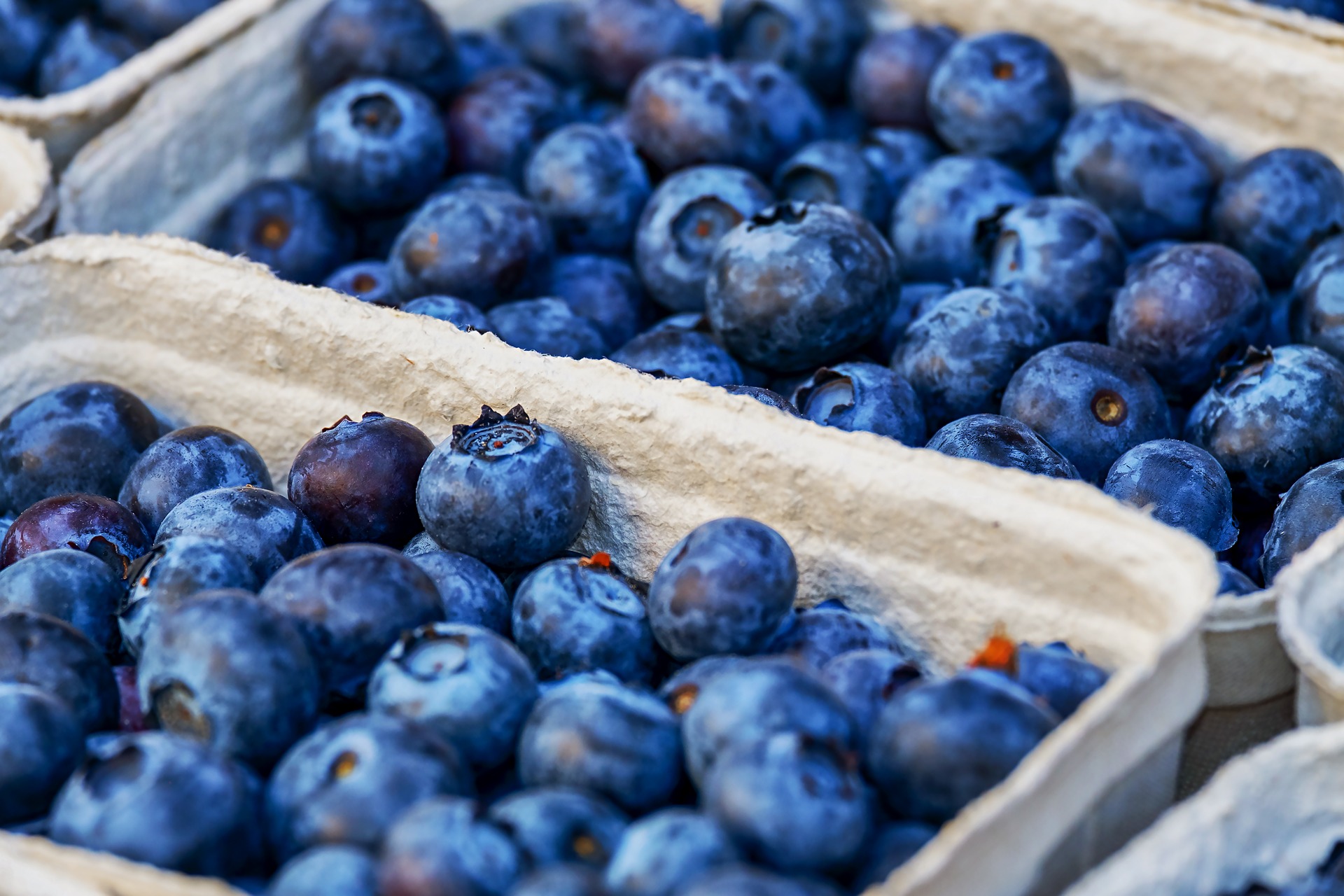 Blueberries Import